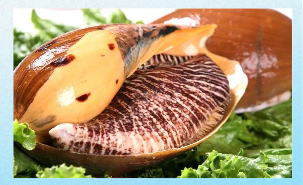 油螺丰收期,美食与健康功效一网打尽