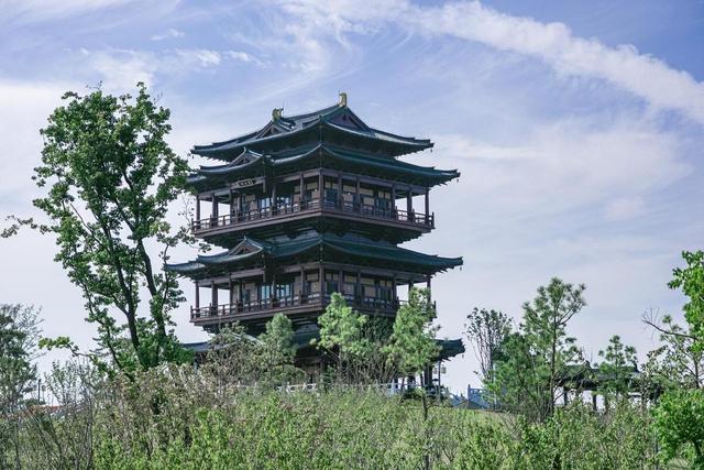 盐城景点哪里值得旅游图片