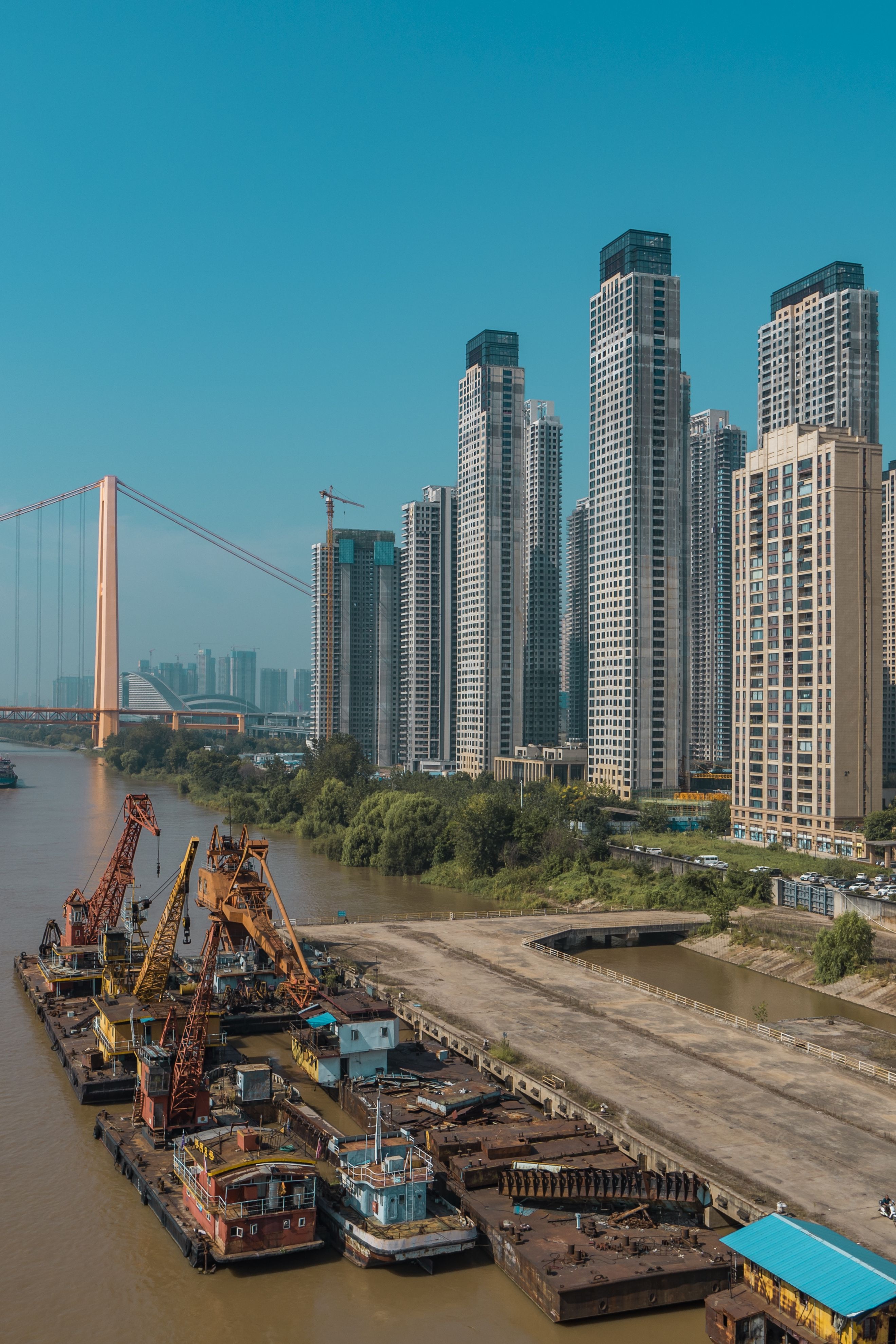 一位"老码头工"的杨泗港印迹