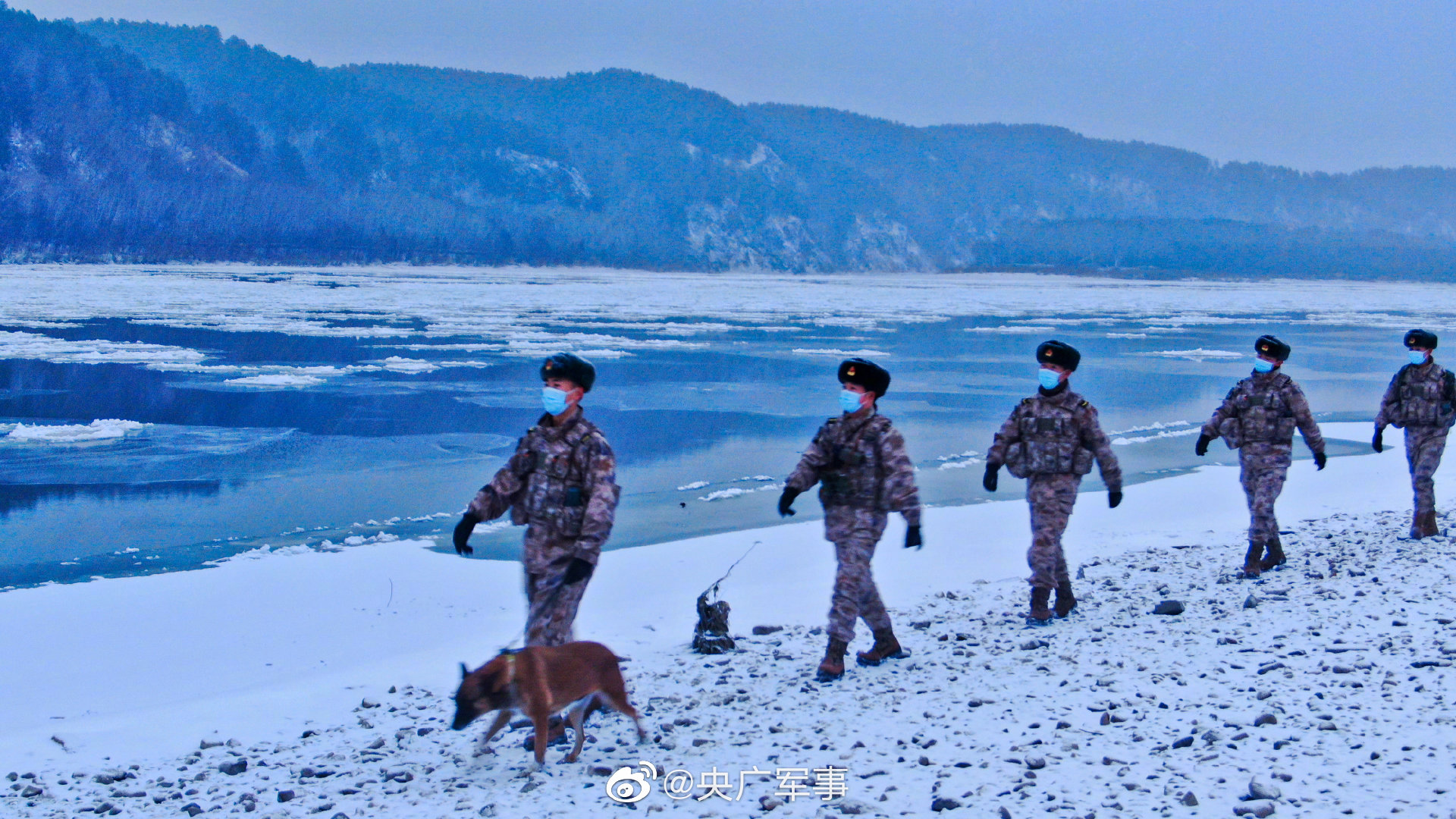 15℃!北极哨所官兵带军犬踏雪巡逻