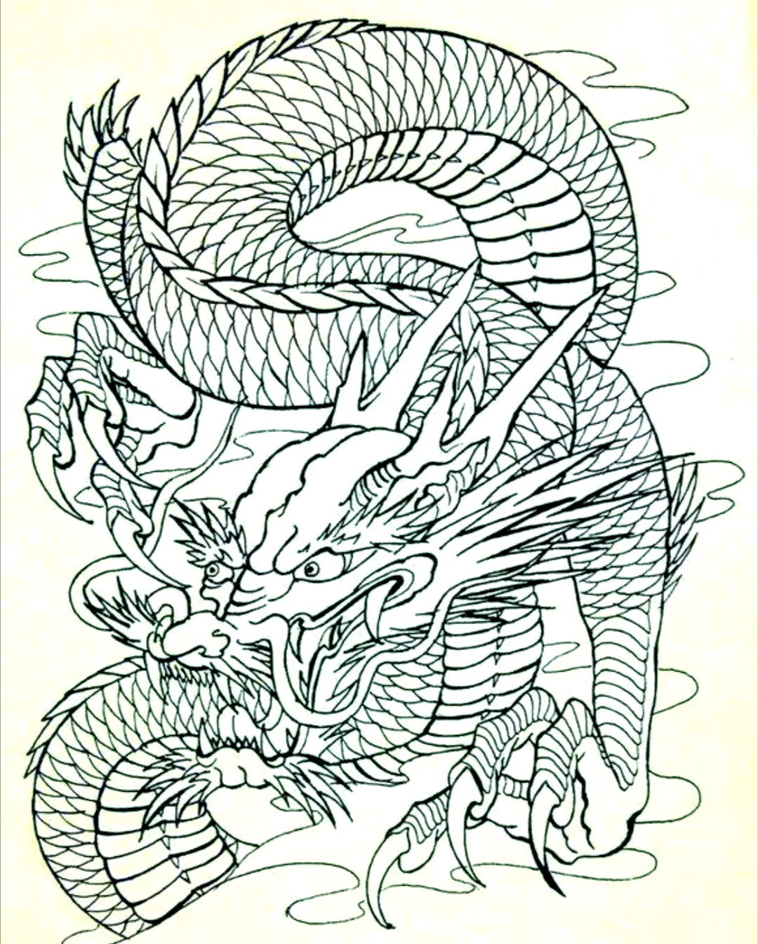 龙纹身手稿的寓意:王者的象征与内心的强大