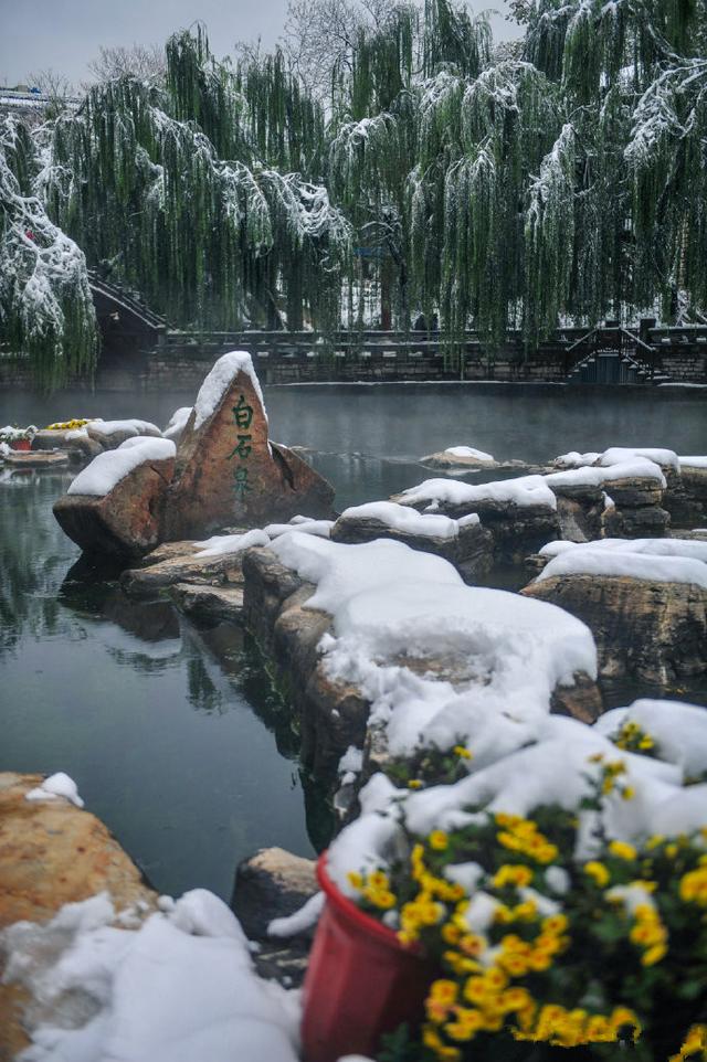 雪後的濟南瞬間回到濟南府,一起來看雪雪雪