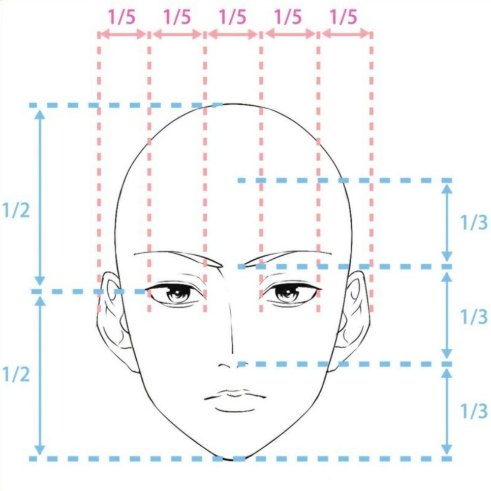 上图是标准的五官比例分割,要画脸就绝对离不开三庭五眼,正面脸的宽度