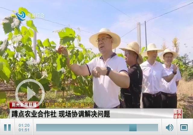 刘辉文到江陵开展"下基层,察民情,解民忧,暖民心"实践活动