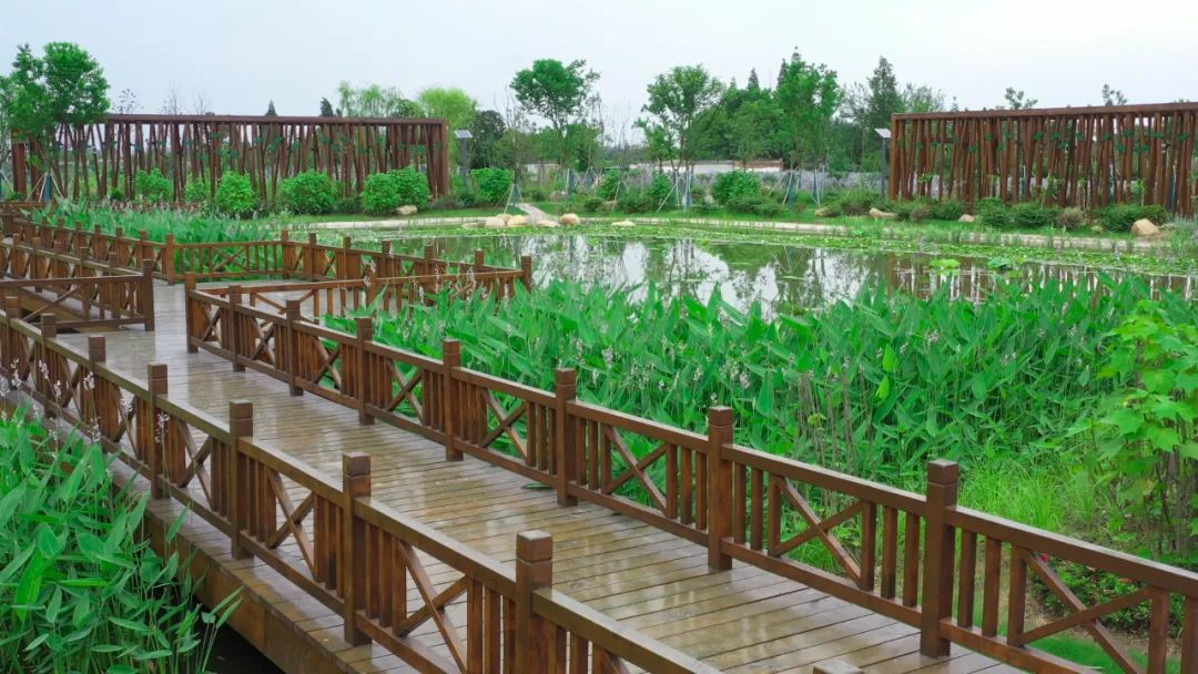4公里 绿色是底色 人文景观是灵魂 两者有机结合 香榭湖
