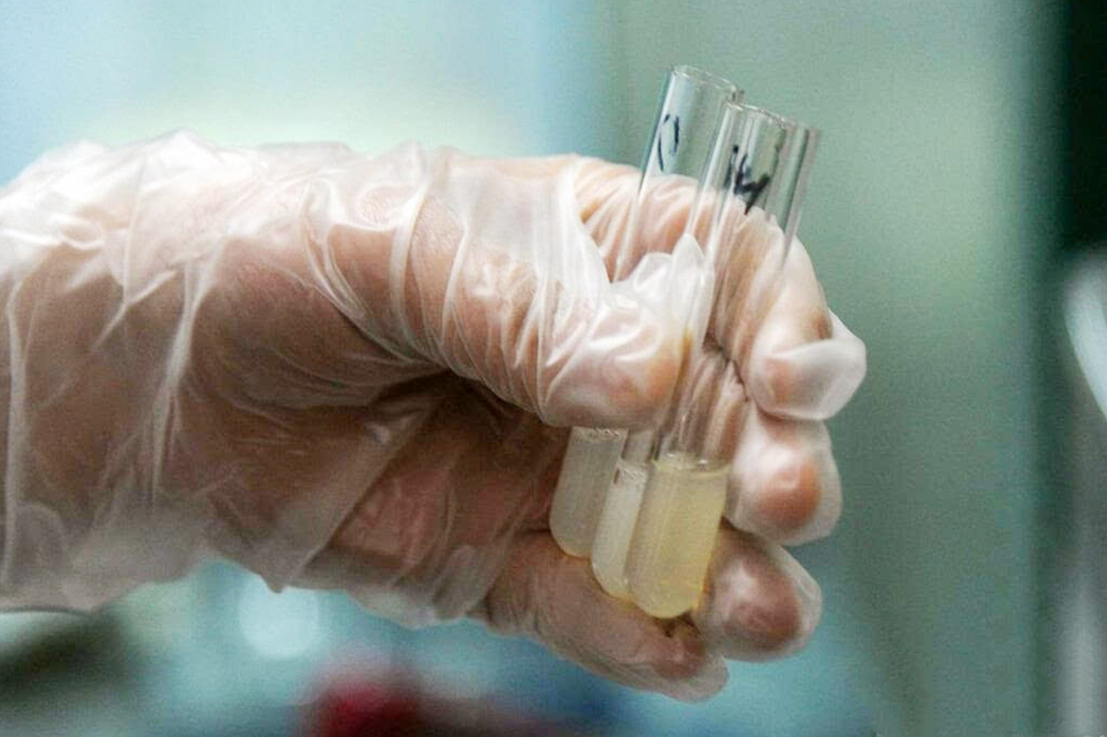 正规!愿意给男人做试管的女人"助孕真假"-第1张图片-吉普博客