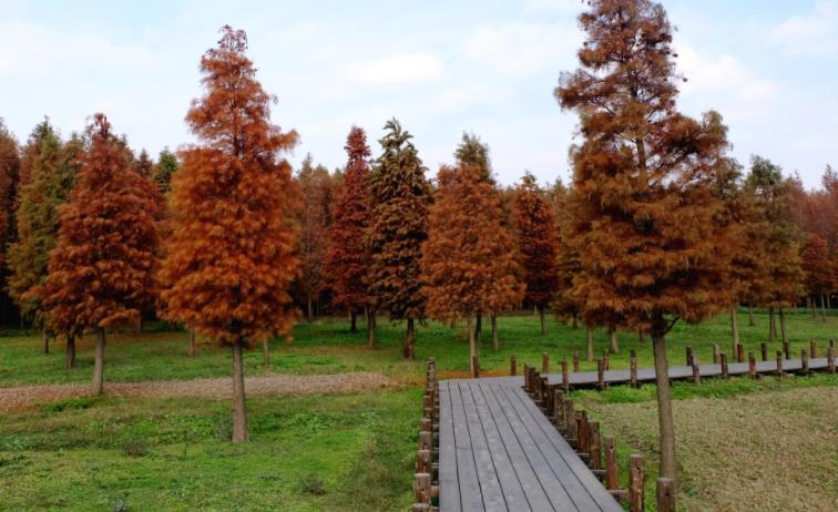 上海七大免费郊野公园