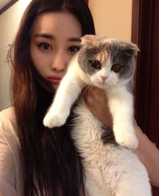刘亦菲素颜和爱猫自拍,盘点爱猫女星,高圆圆张馨予张雨绮在列