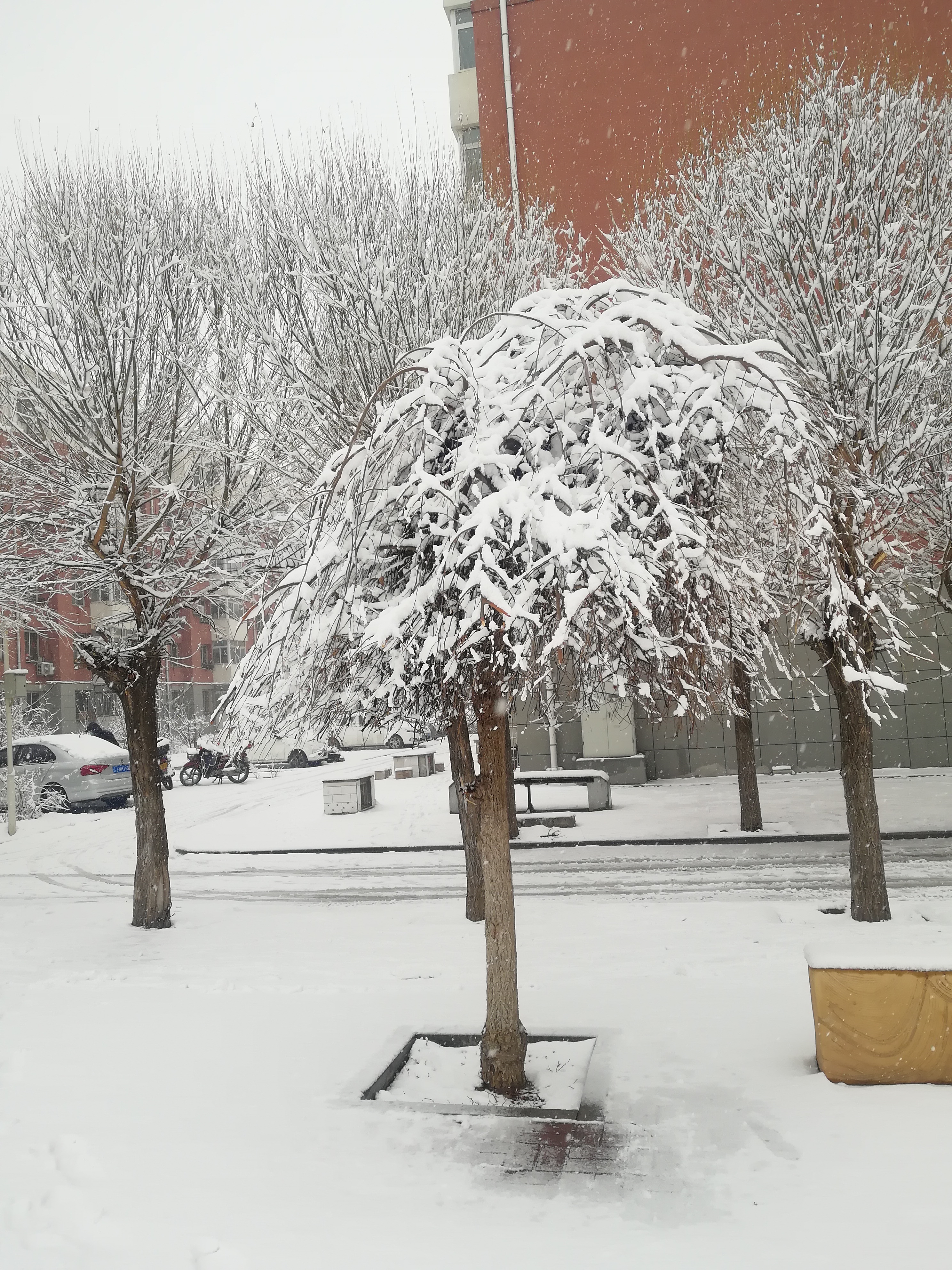 阜新雪景图片