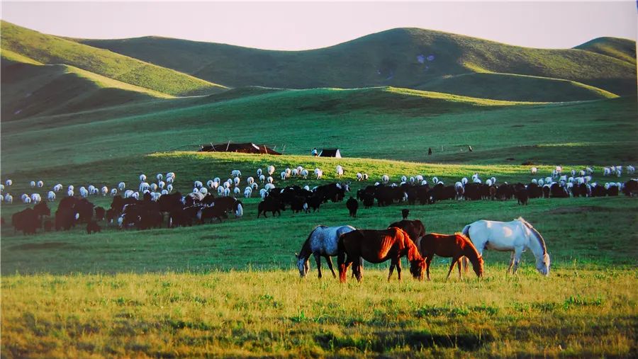 南风窗甘肃又憋了个大惊喜不在天水