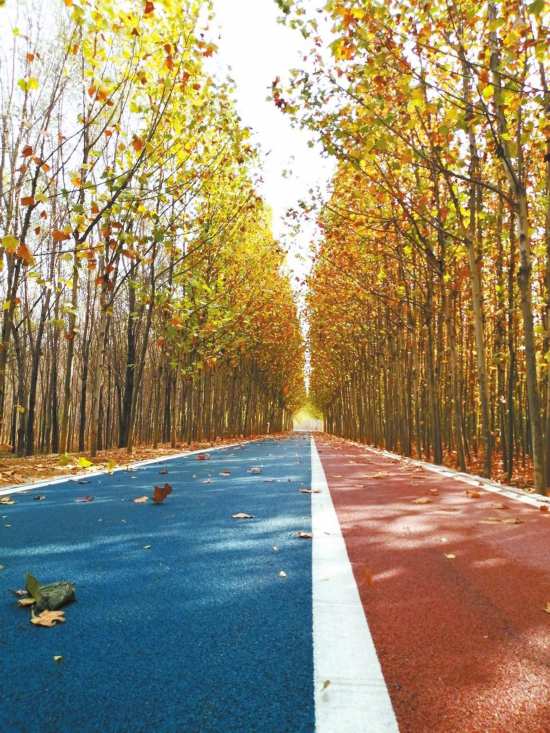 郑州沿黄打造"慢生活"生态廊道