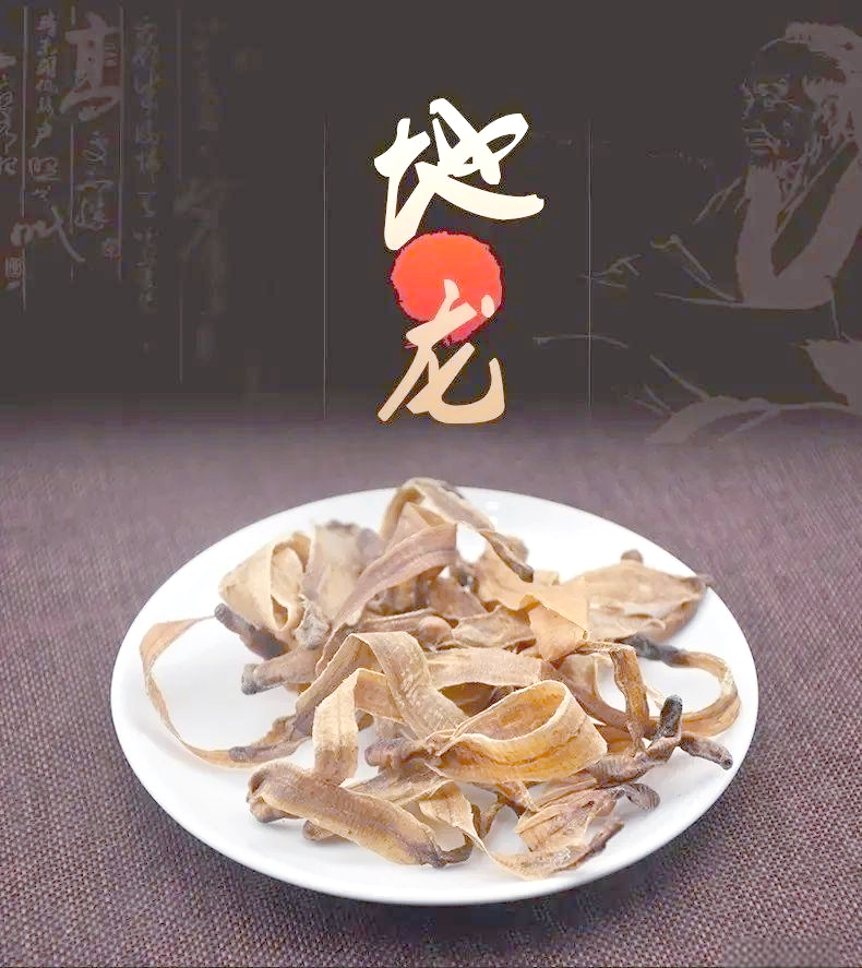 广地龙:一种全身是宝的蚯蚓