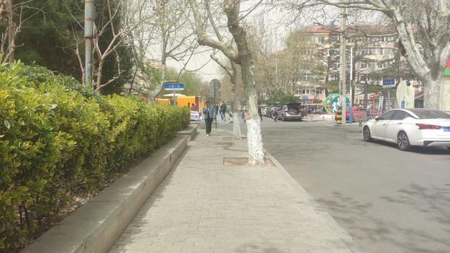 做好日常保洁 海琴广场展新颜