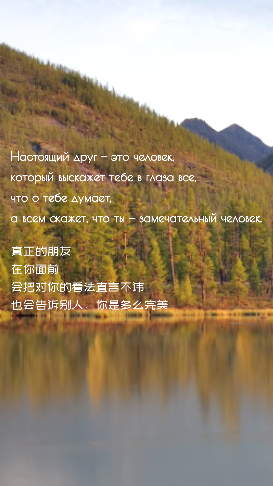 「有声」俄语美文:什么是真正的朋友