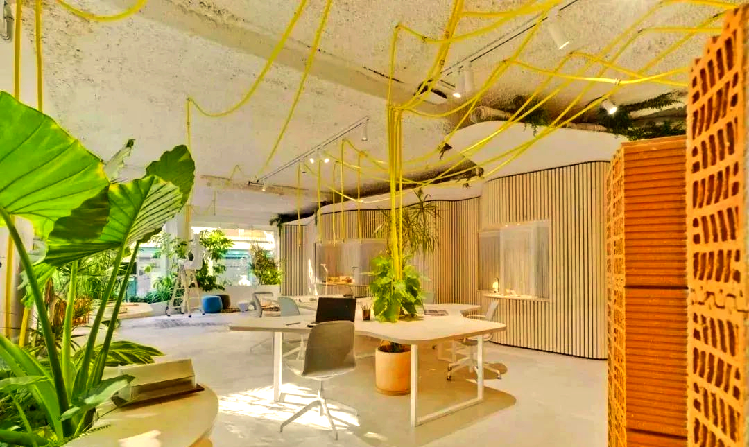 森系办公空间:打造愉悦轻松的办公氛围