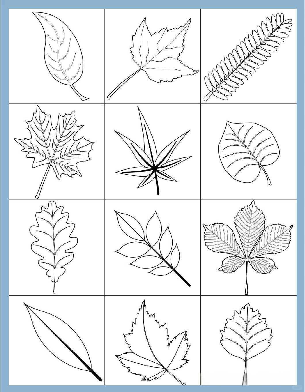 探索叶子的多样美丽:简笔画中的自然韵律与生命力