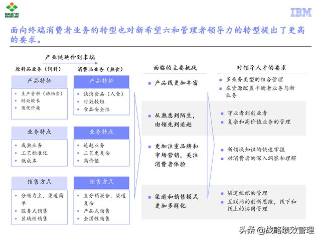 ibm新希望六和领导力模型设计报告