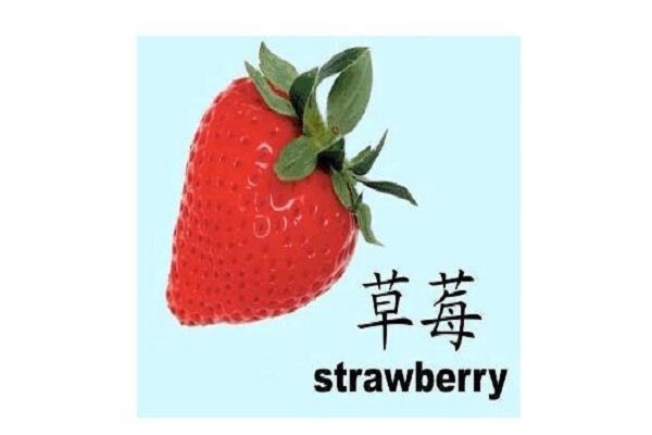 草莓英语单词怎么记
