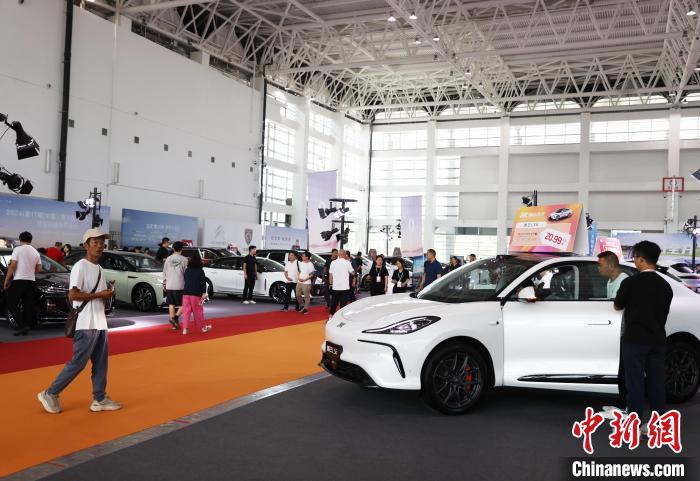 宁夏银川:市民周末逛车展