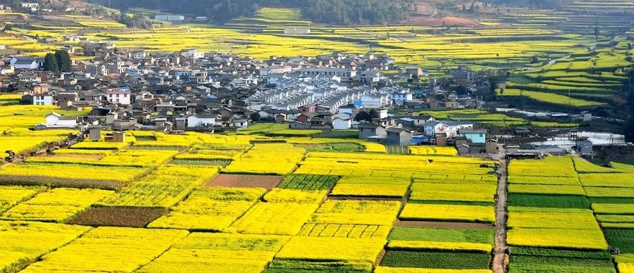 峨山县塔冲村.曾永洪 摄