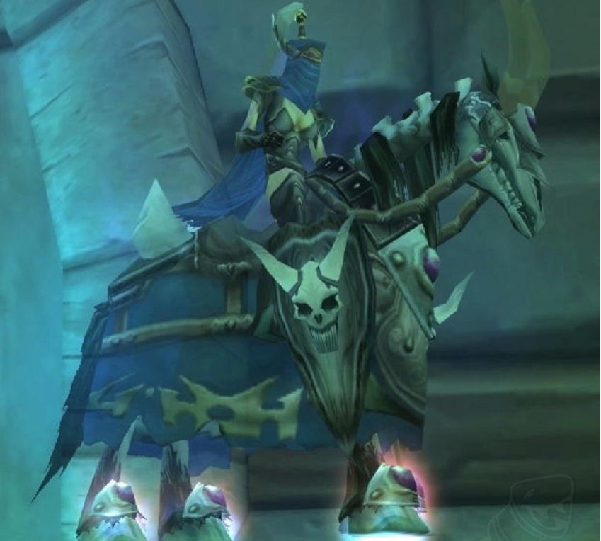 黑马骑士女伯爵布劳缪克斯