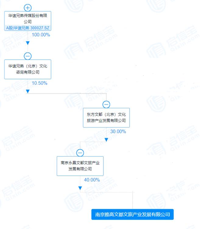 （圖說：南京雅高文旅股權(quán)結(jié)構(gòu)）