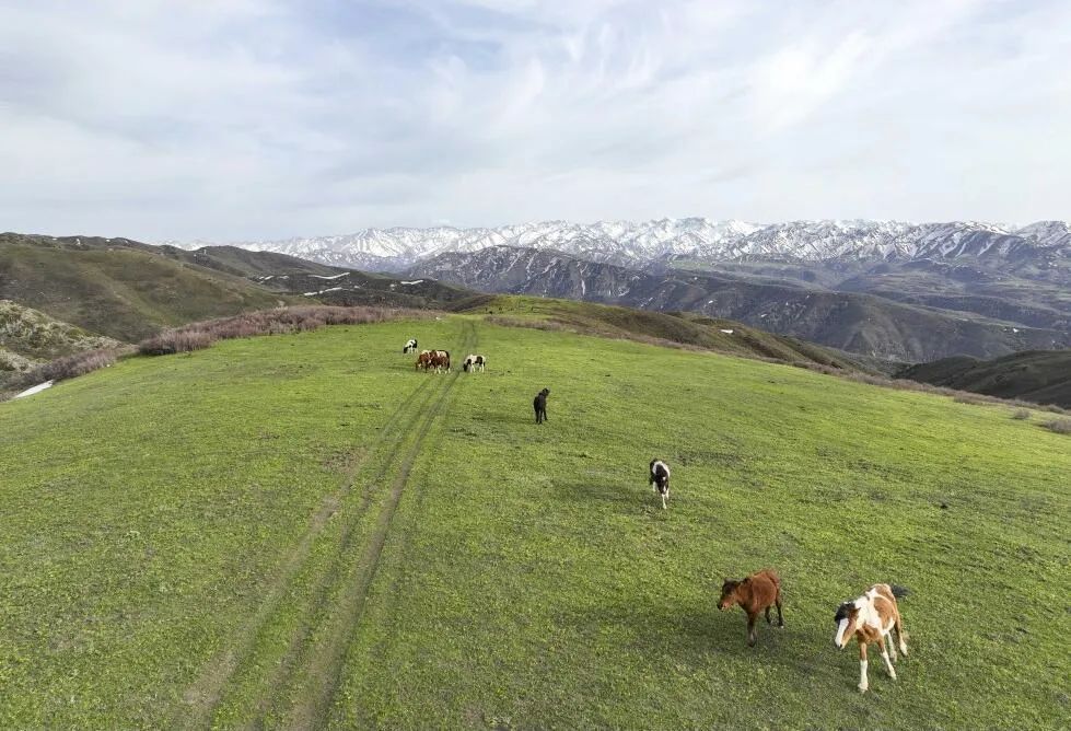 追问古代中国 法国汉学家葛兰言从"田野"出发