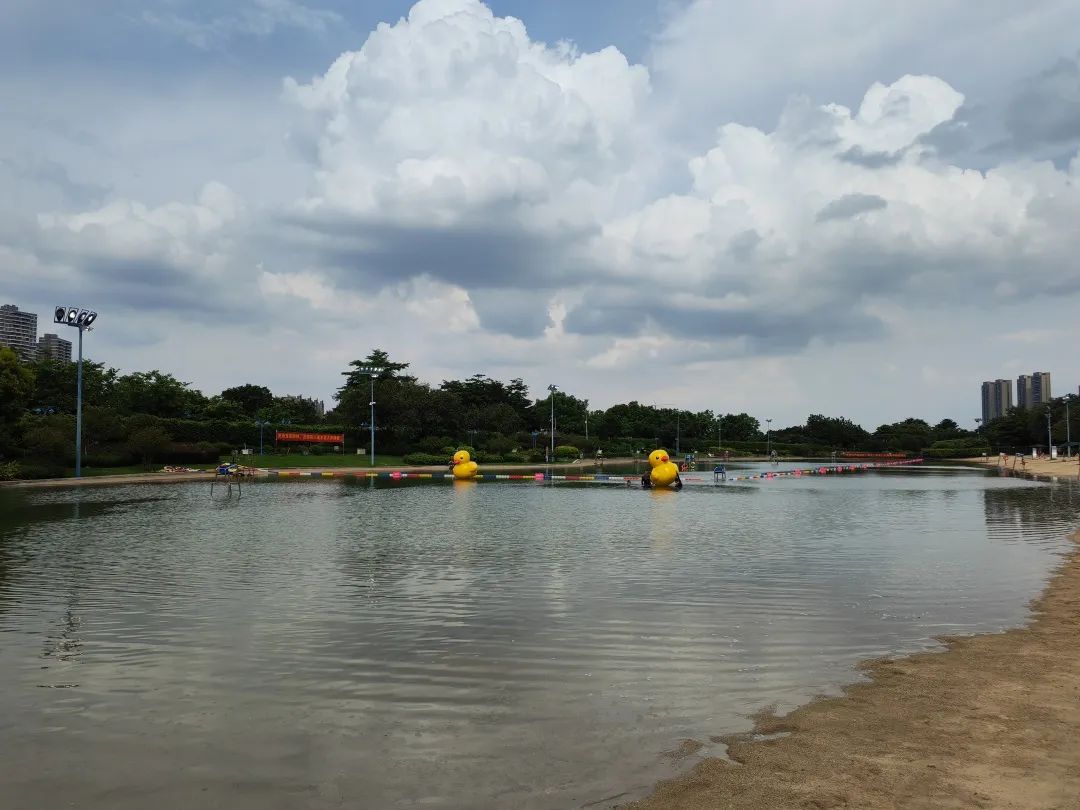 佛山新城露天泳场,今起重新对外开放!