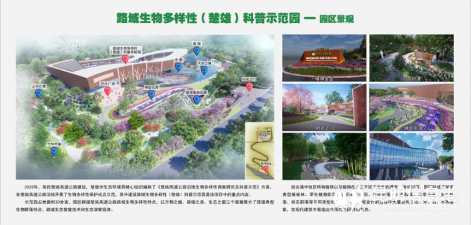 守护生物多样性之美 楚姚高速公路路域建设纪实