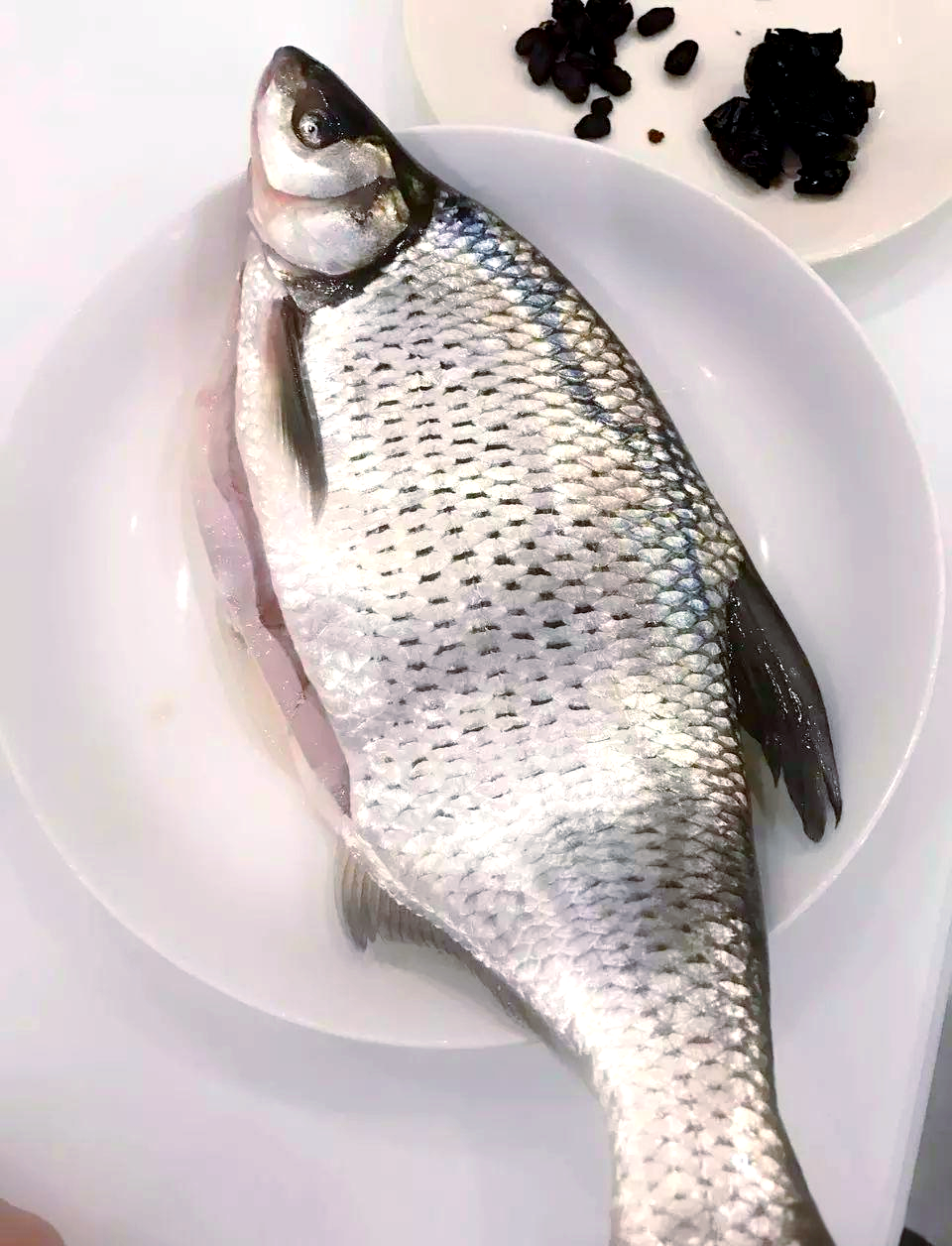 春季尝鲜:边鱼与榄角的完美搭配