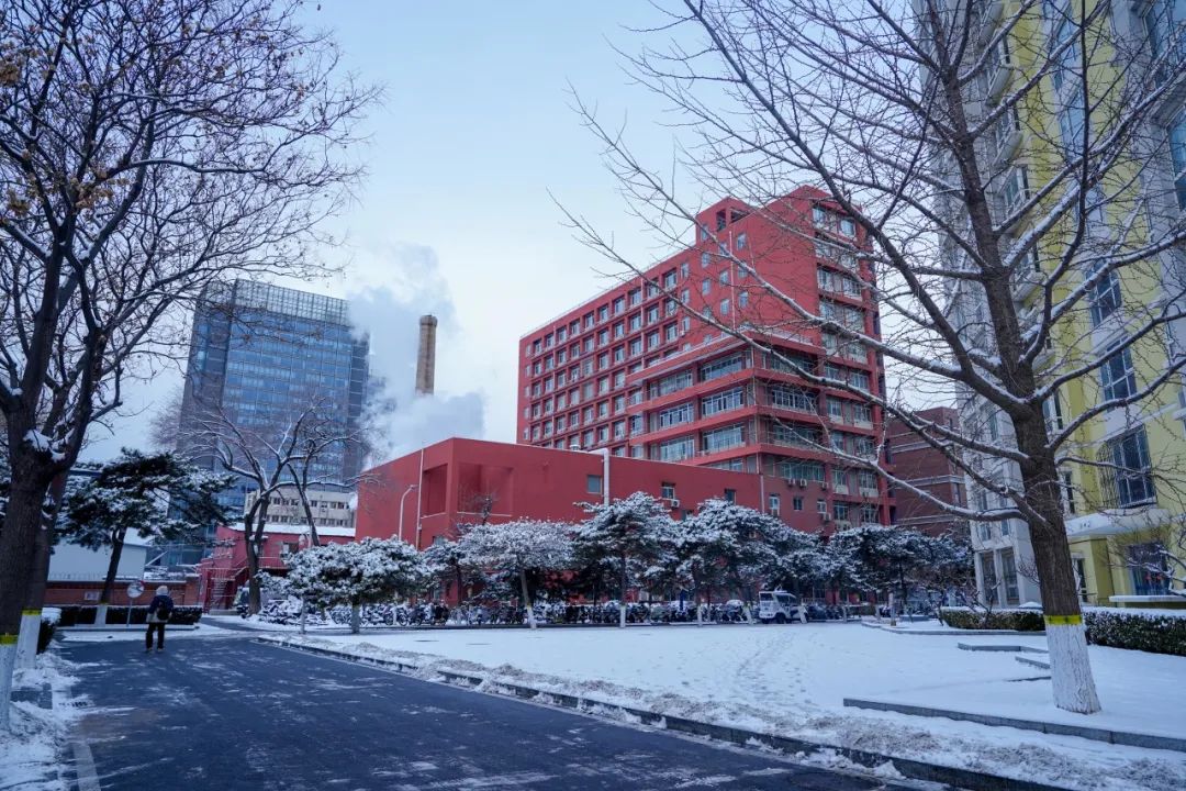 雪gf488gf雪gf488gf雪gf488gf龙年初雪北科大太美了