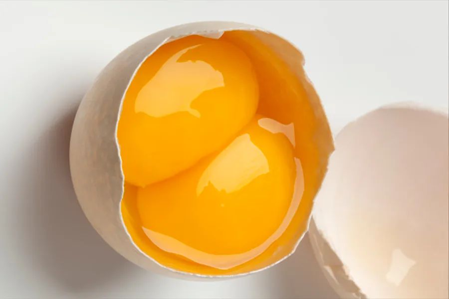 「蛋小秦」双黄蛋和单黄蛋哪个营养价值更高?