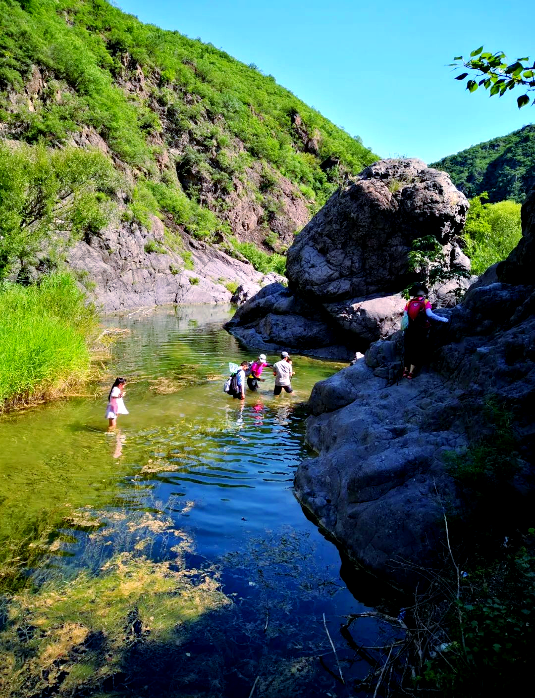 翠鸟谷:延庆的绿色秘境之旅