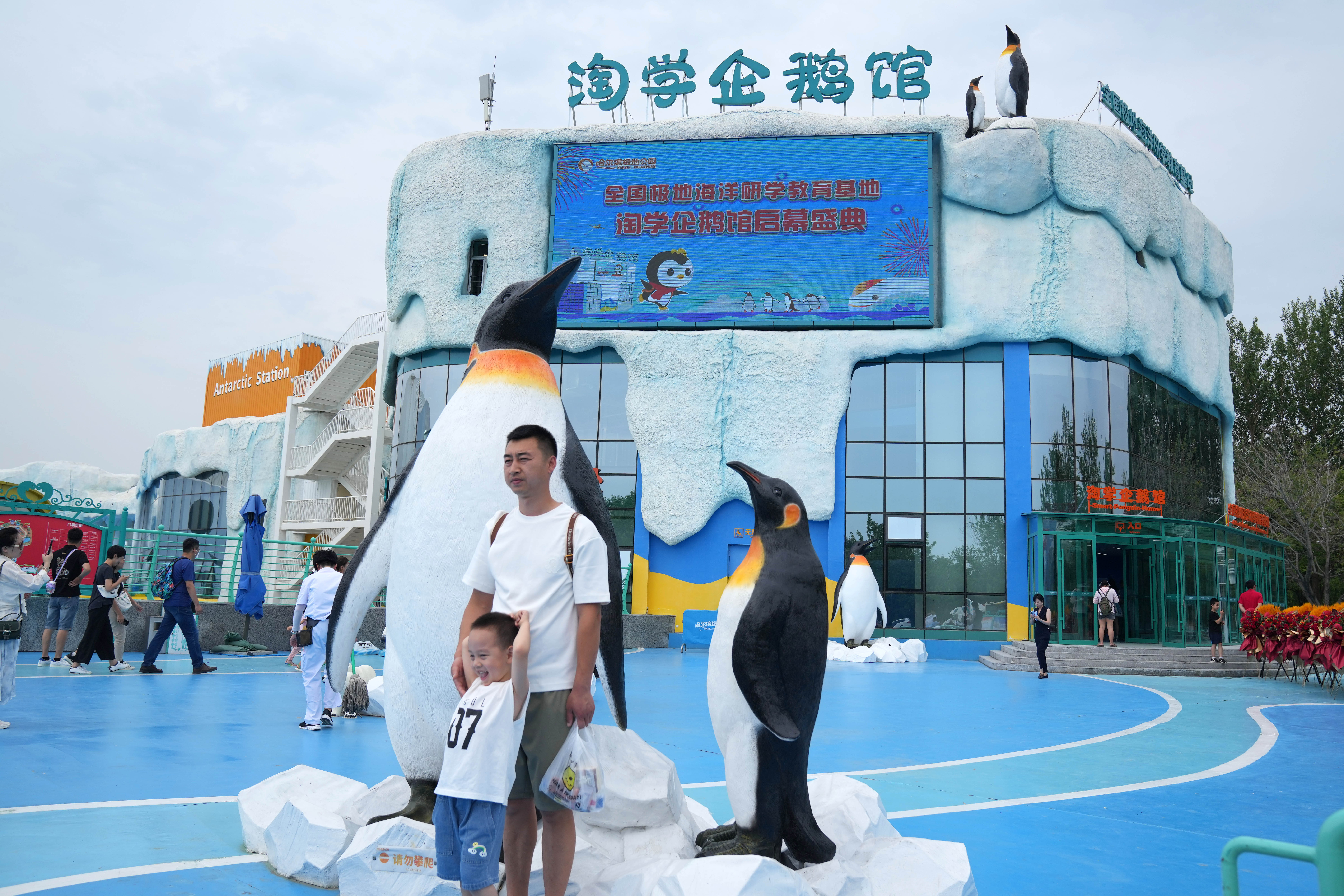 (社会)"淘学企鹅馆"冰城迎客