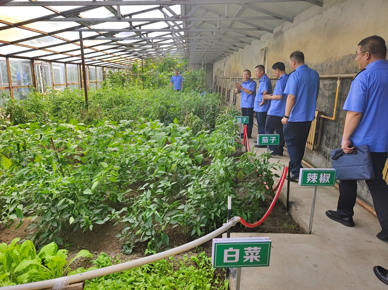 黑龙江大庆车务段工会:自种菜园子 丰富职工菜篮子