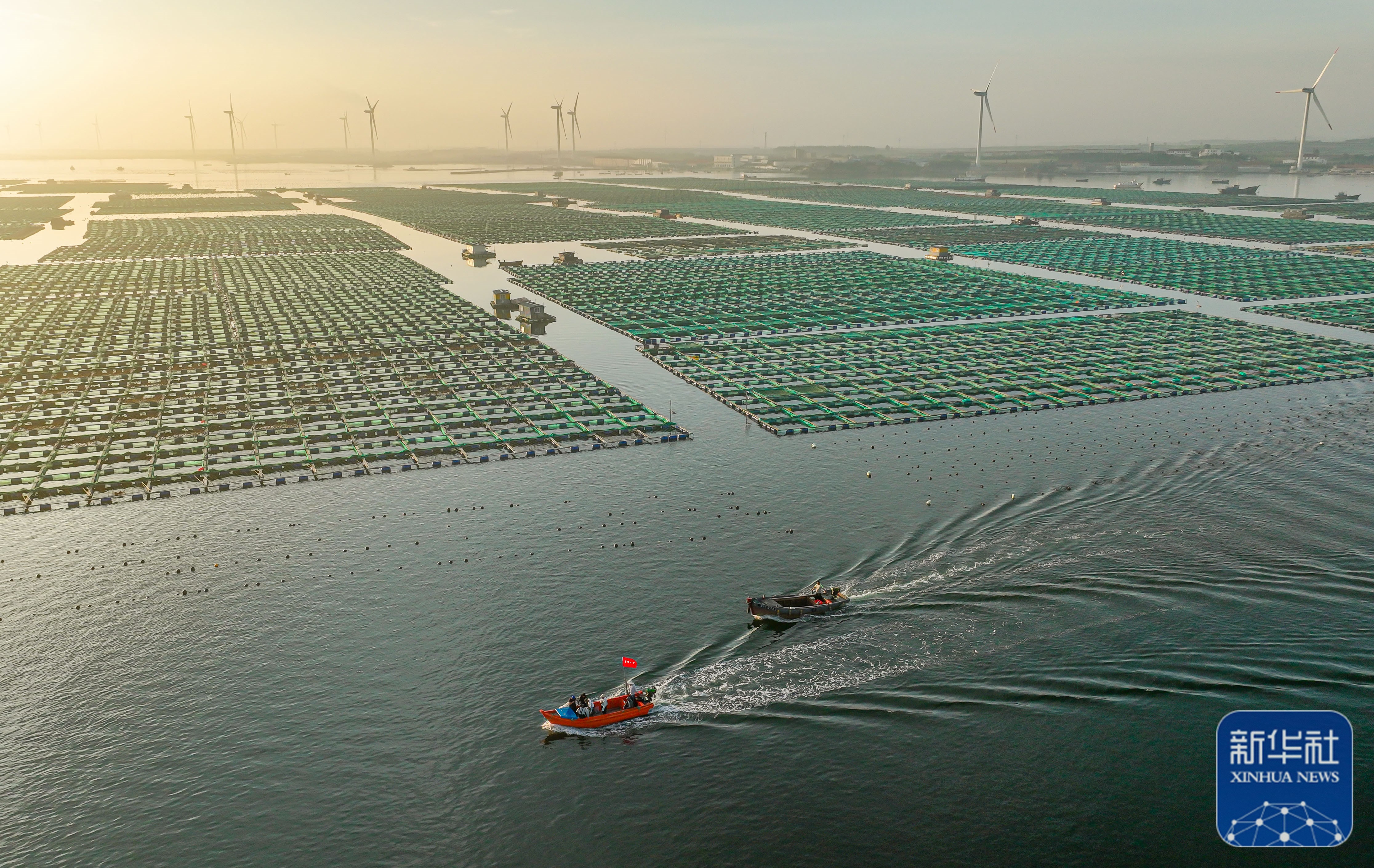 山东荣成:生态养殖海洋经济高质量发展