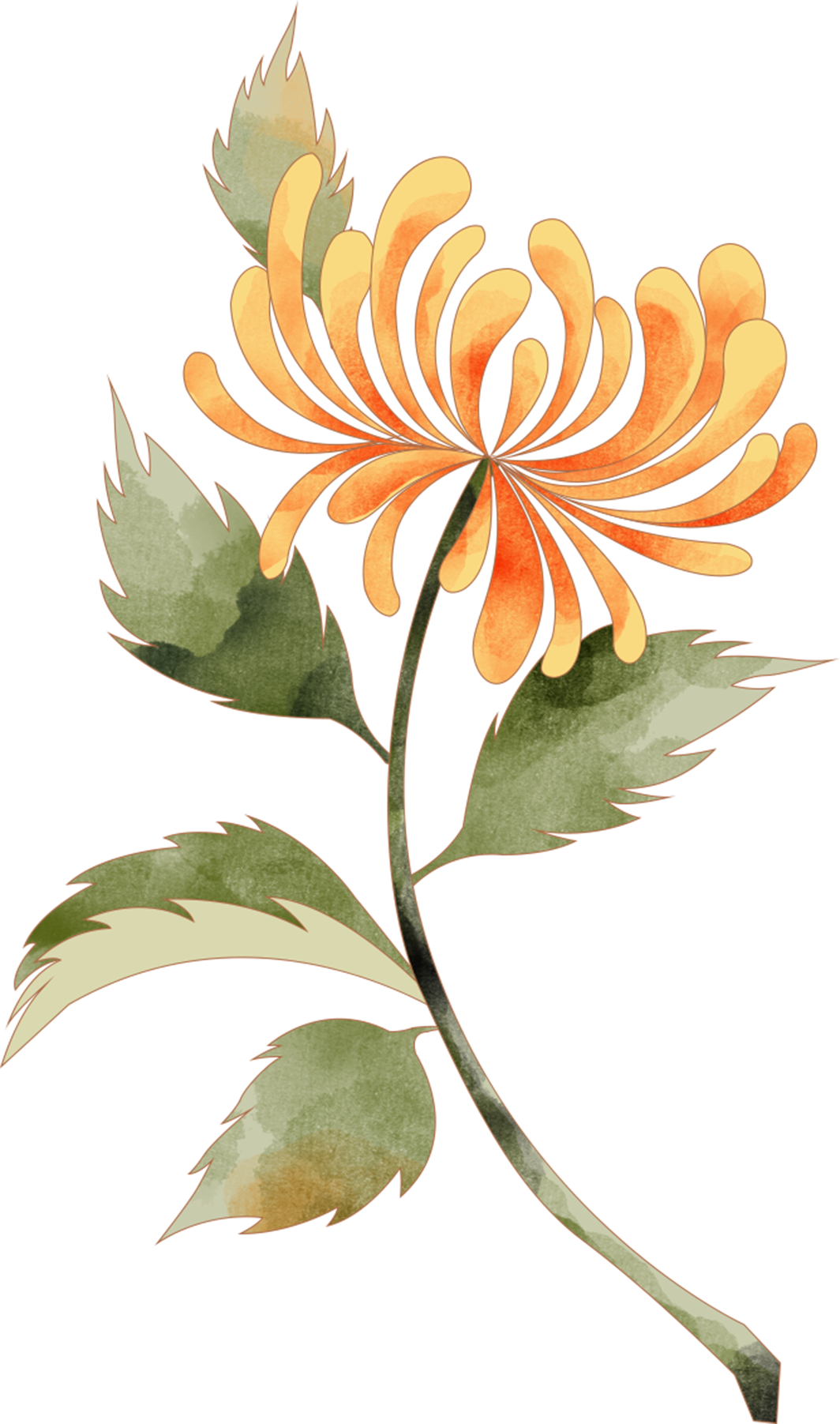 —上海植物园参展景点亮相2023上海菊花展