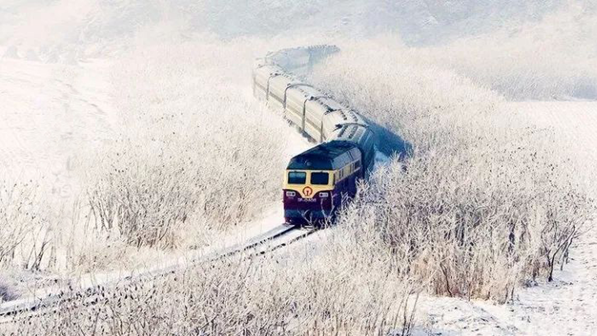 本溪青石岭村图片