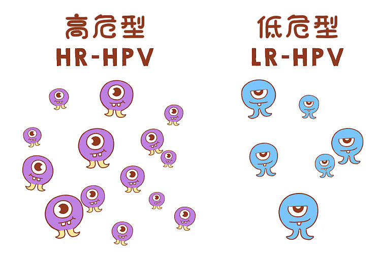 hpv病毒卡通图片