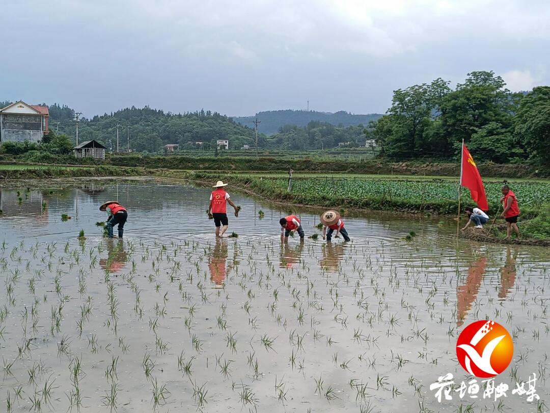 花垣县猫儿乡:纪检监督入田间 助力春耕保生产