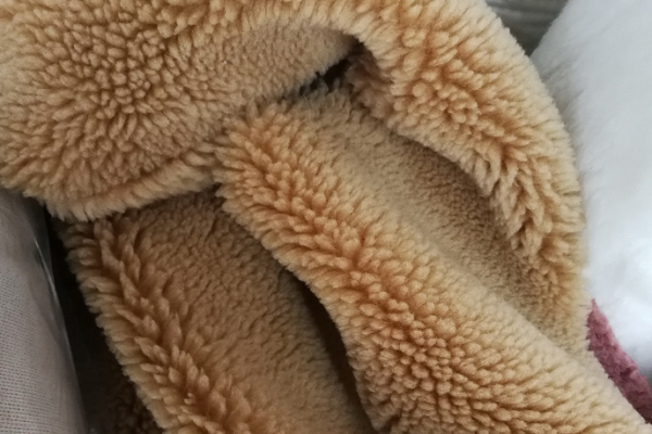 澳毛是什么毛?质量怎样