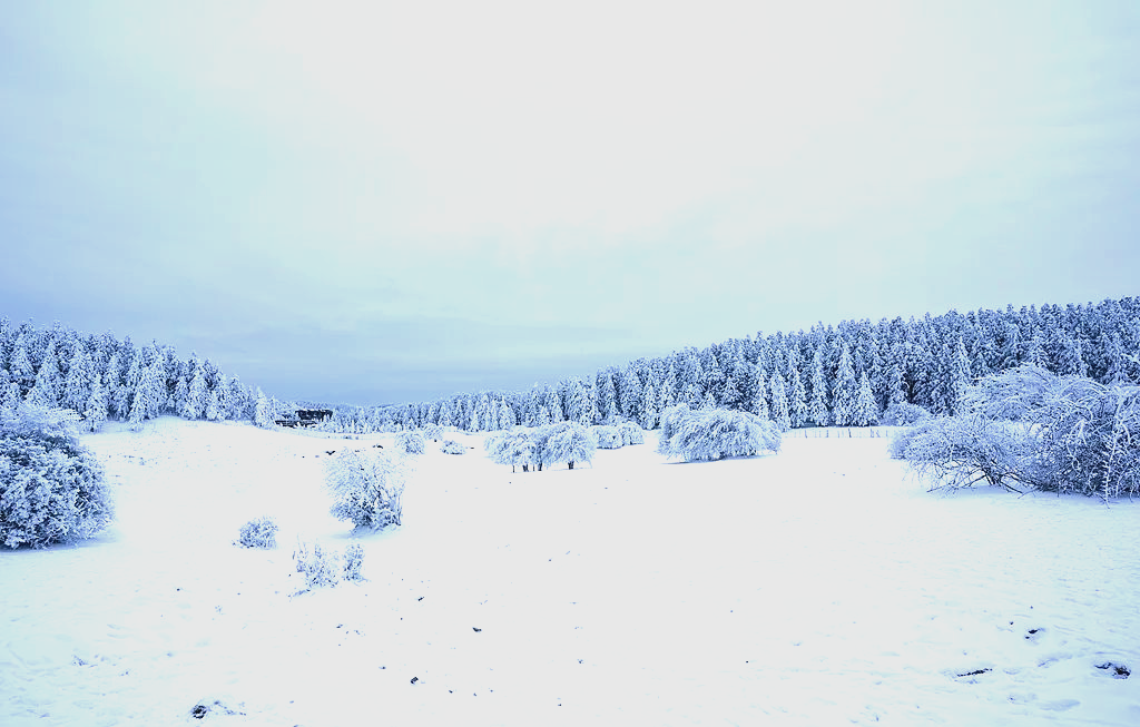 小雪节气的魅力:冬日美食与美景的碰撞