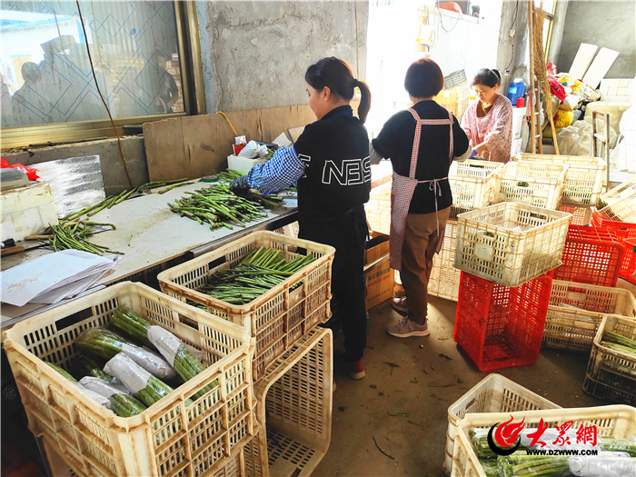 电商助推曹县苏集镇笋农致富