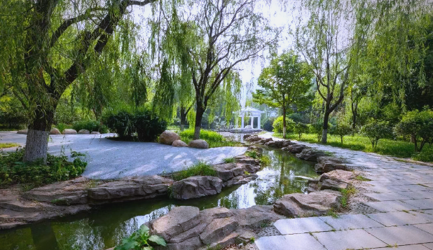 秦皇岛市河东湿地运动公园:创新设计与市民反馈