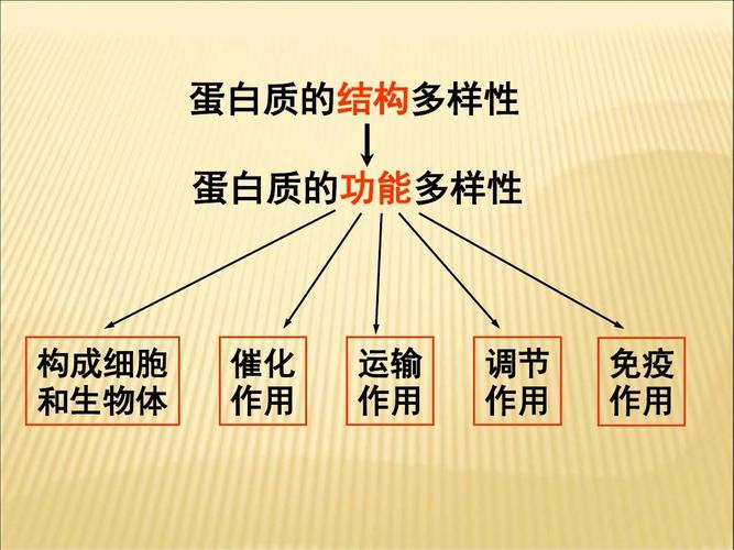 白蛋白的英文缩写是什么,白蛋白有什么作用?