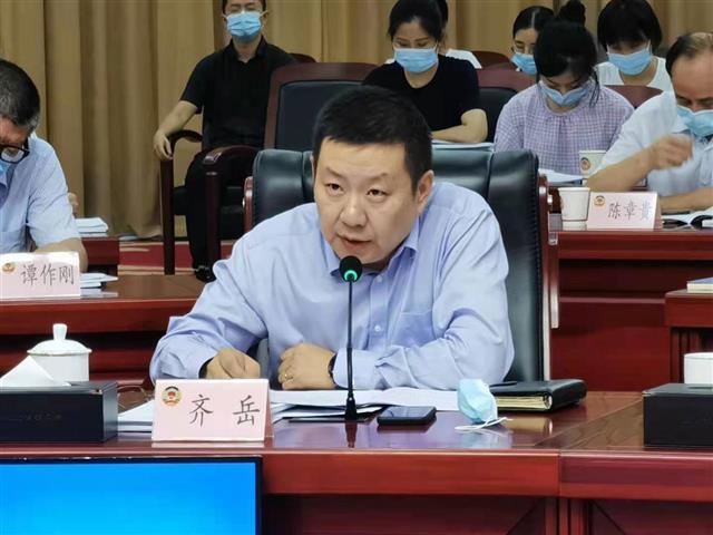 齐岳建议:推动高端制造业外向化发展