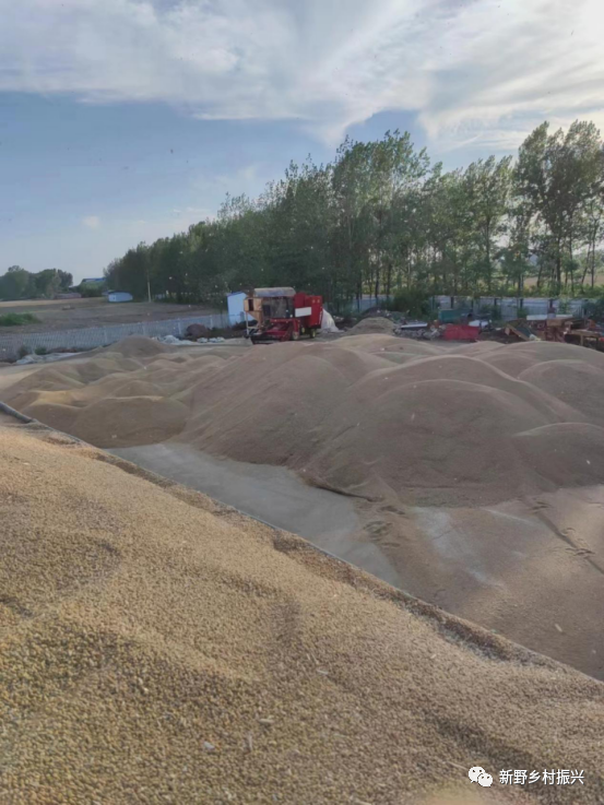 新野县王庄镇:衔接项目助力困难群众减损增收