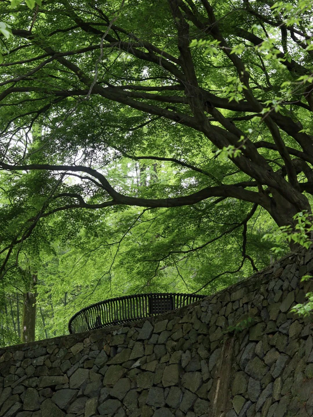 德清考生,景区有优惠!