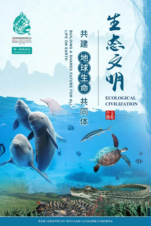 相约cop15丨探访腾冲火山,关注生态环境,保护生物多样性