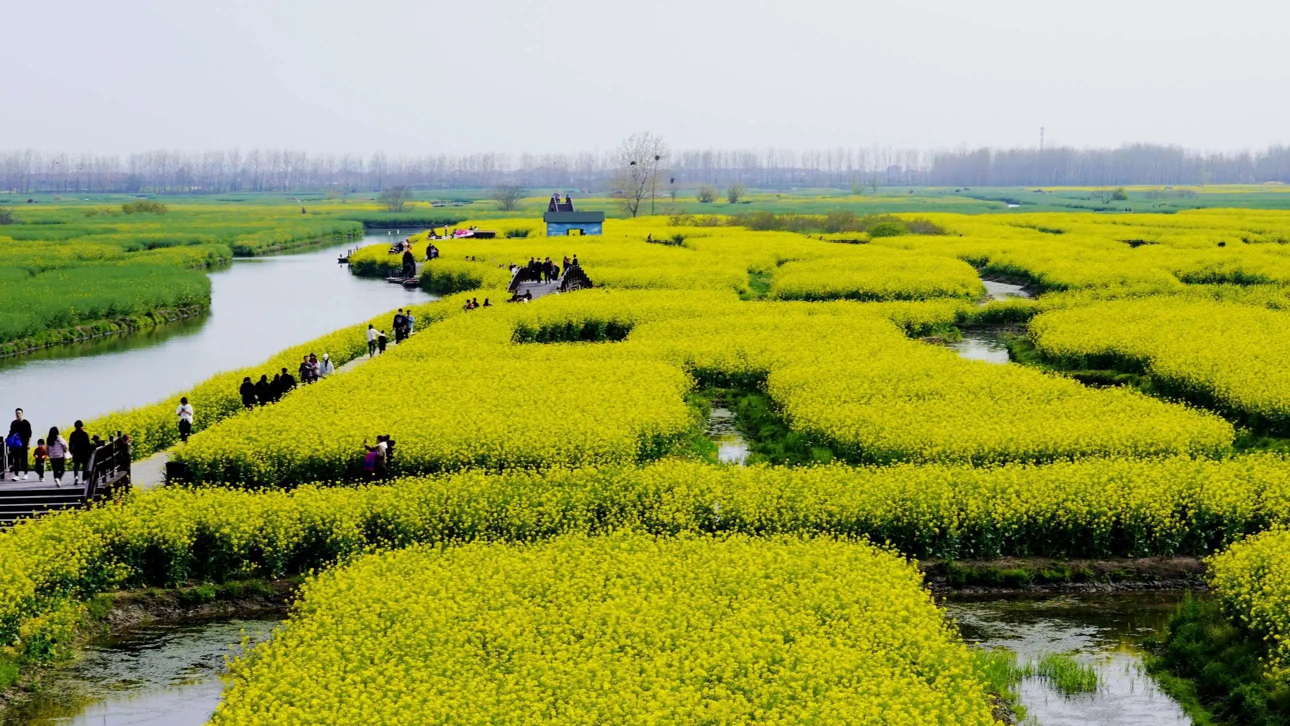 江苏中部有片鱼米之乡叫里下河,有人误以为是一条河名,其实不是